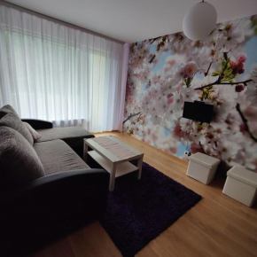 Dainai Apartament